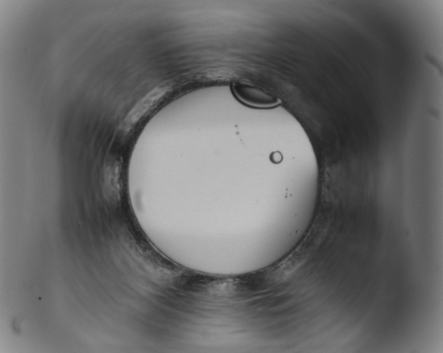 X0000103450116200809261826