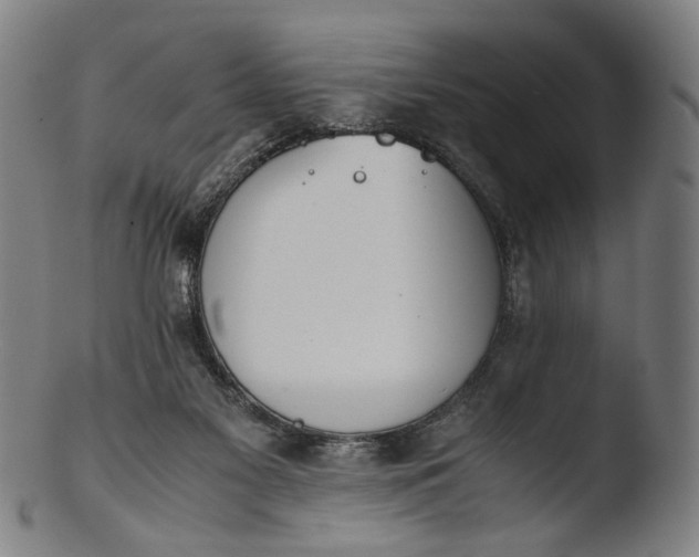 X0000103450117200809261826