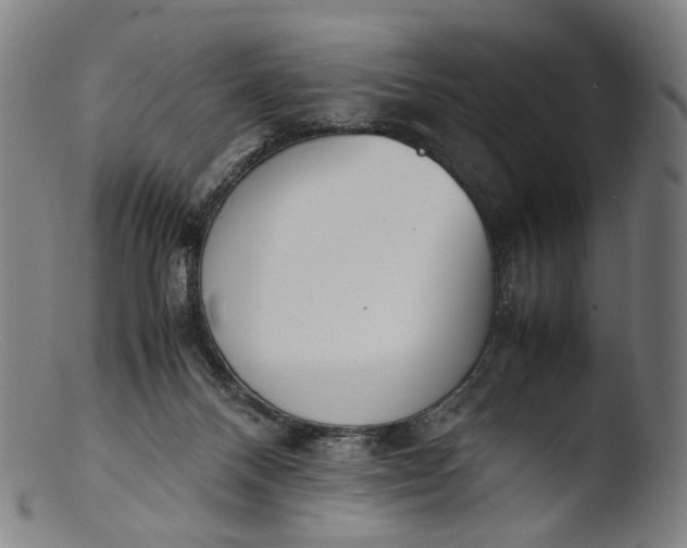 X0000103450120200809261826