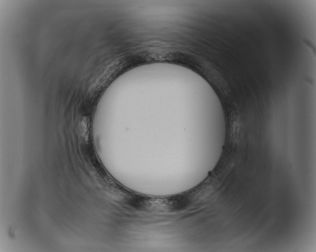 X0000103450121200809261826