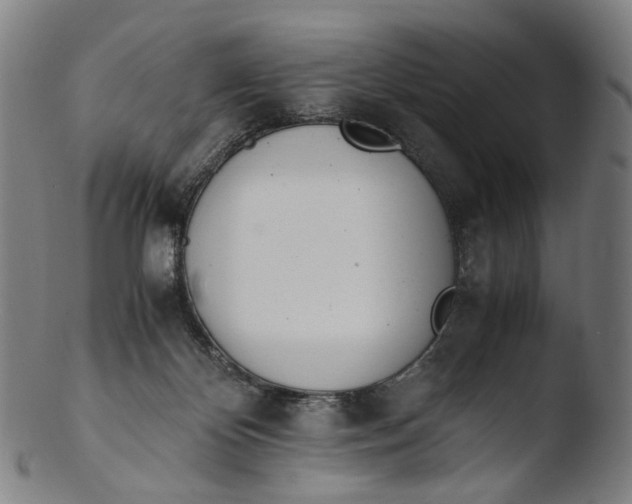 X0000103450124200809261826