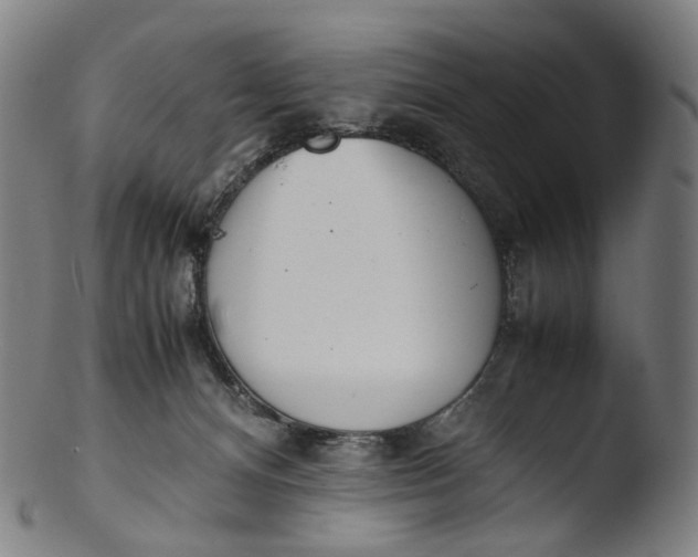 X0000103450128200809261826