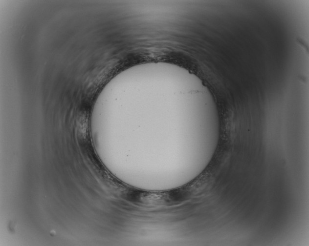 X0000103450129200809261826