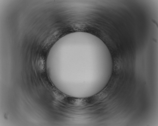 X0000103450130200809261826