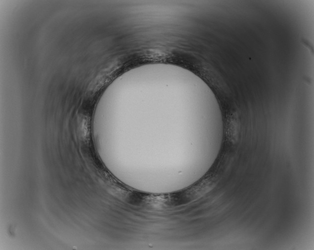 X0000103450131200809261826