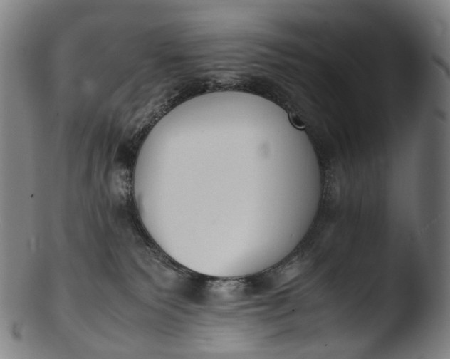 X0000103450135200809261826