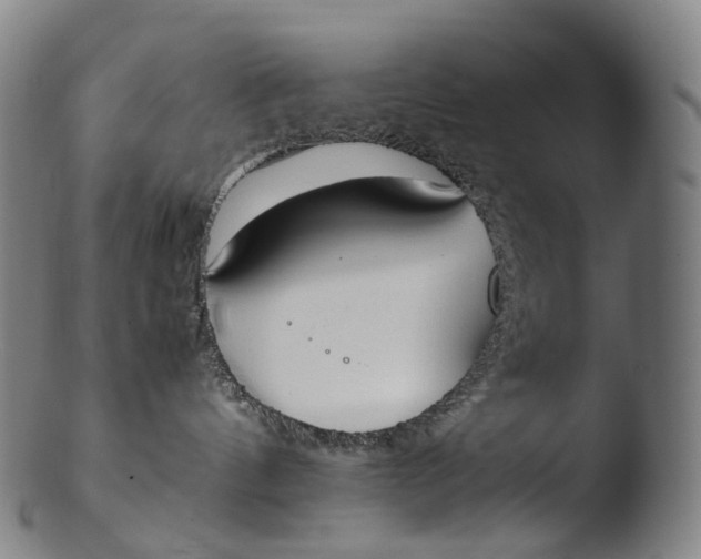 X0000103450144200809261825