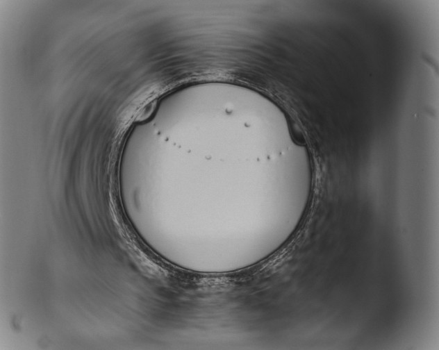 X0000103450145200809261825