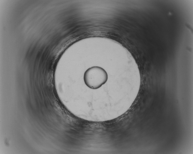 X0000103450146200809261825