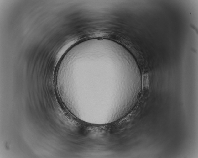 X0000103450147200809261825