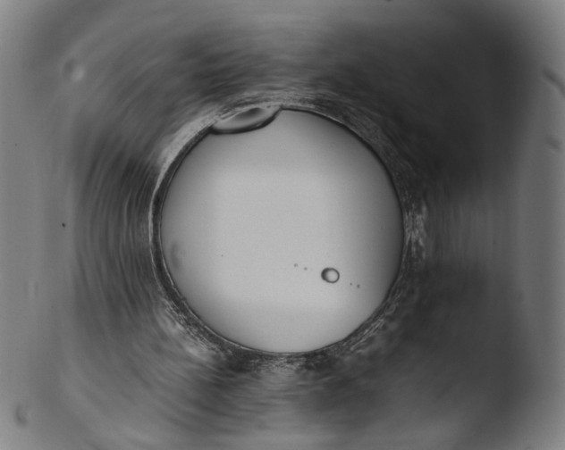 X0000103450148200809261825