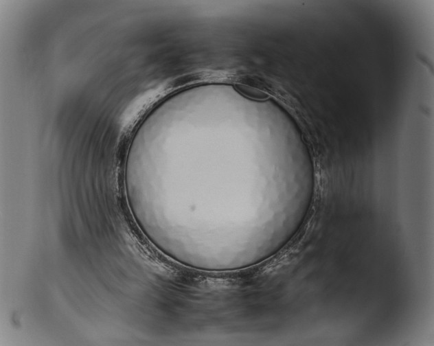 X0000103450149200809261825