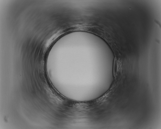 X0000103450150200809261825