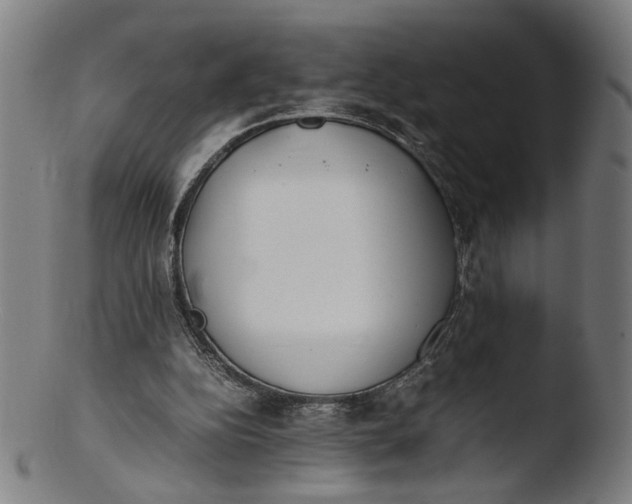 X0000103450152200809261825