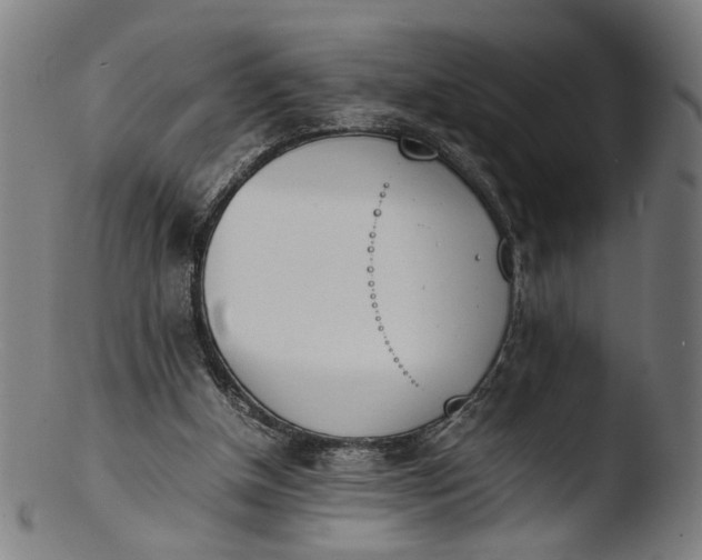 X0000103450154200809261825