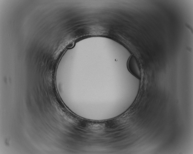 X0000103450155200809261825