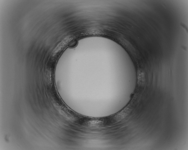 X0000103450158200809261825