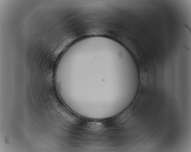 X0000103450159200809261825