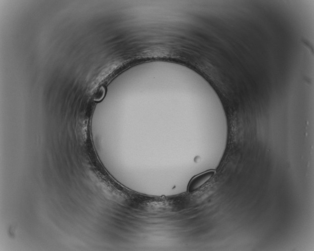 X0000103450160200809261825