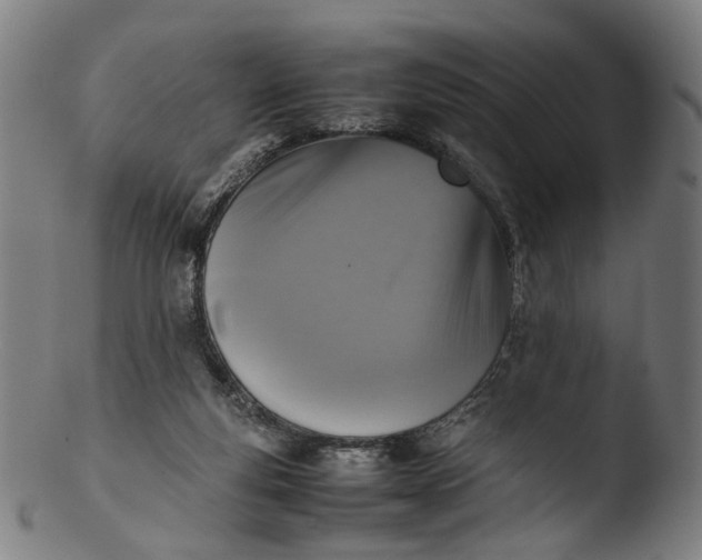 X0000103450163200809261825