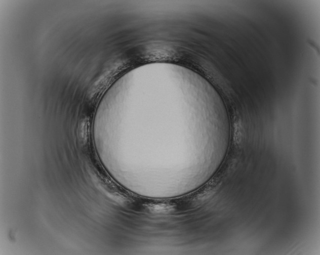 X0000103450165200809261825