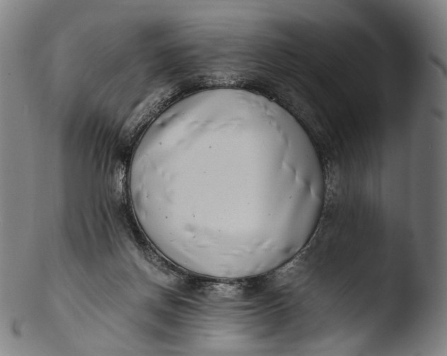 X0000103450166200809261825