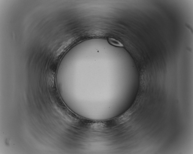 X0000103450168200809261825