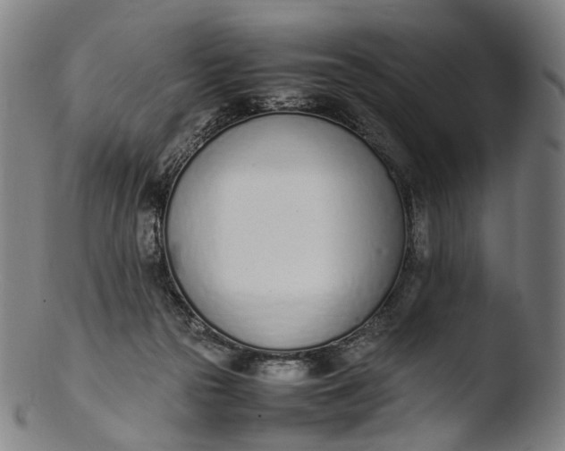 X0000103450169200809261825