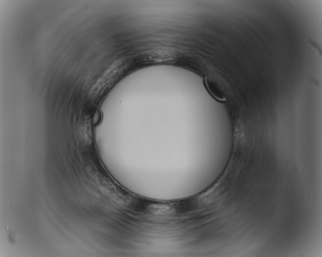 X0000103450170200809261825