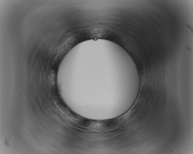 X0000103450174200809261825