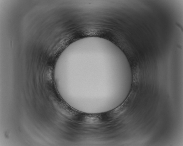 X0000103450175200809261825