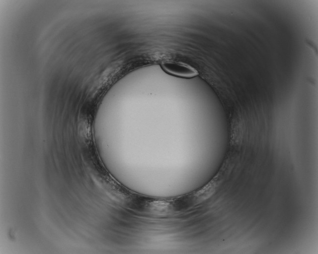 X0000103450176200809261825