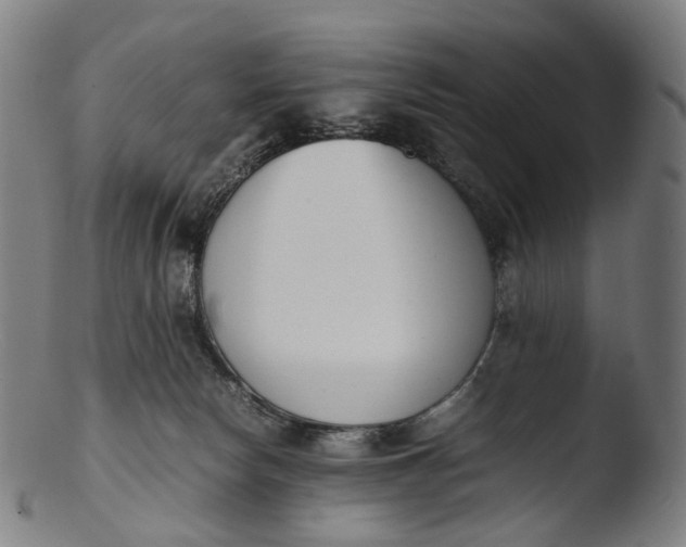 X0000103450178200809261825