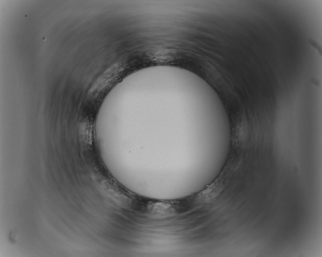 X0000103450180200809261825