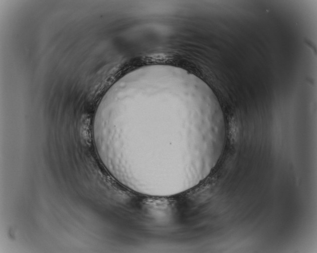 X0000103450181200809261825