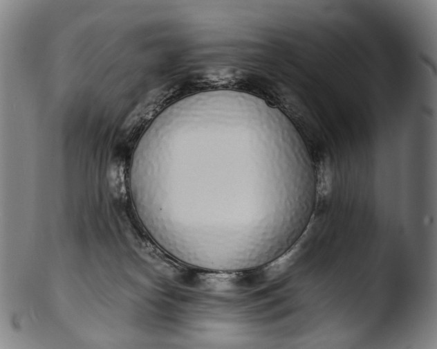 X0000103450182200809261825