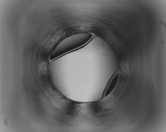 X0000103450184200809261825