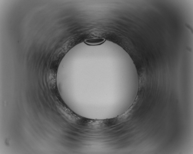 X0000103450186200809261825