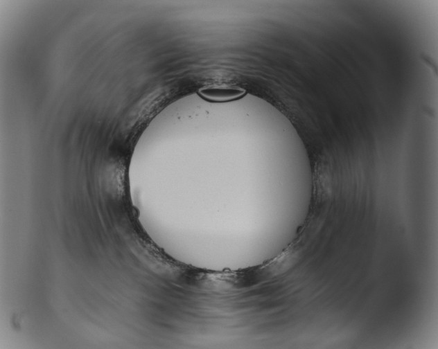 X0000103450188200809261825