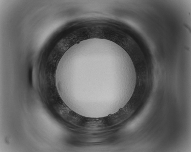 X0000103450189200809261825