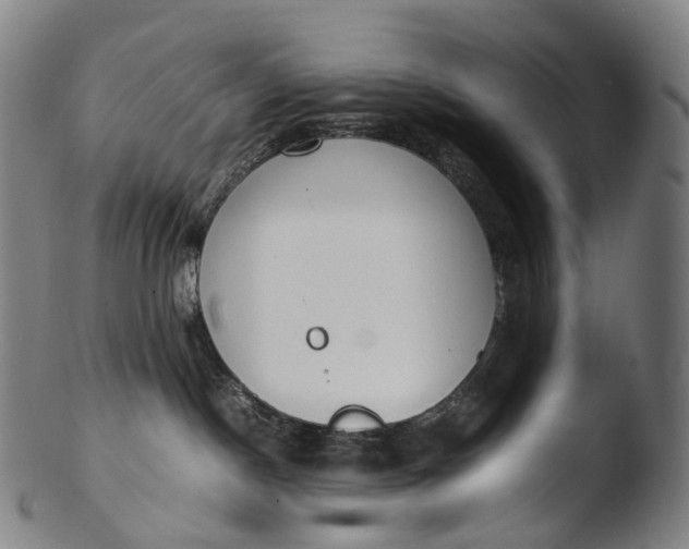 X0000103450190200809261825