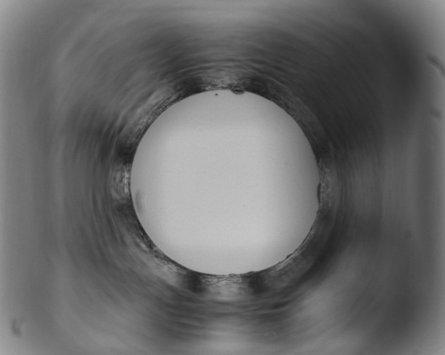 X0000103450191200809261825