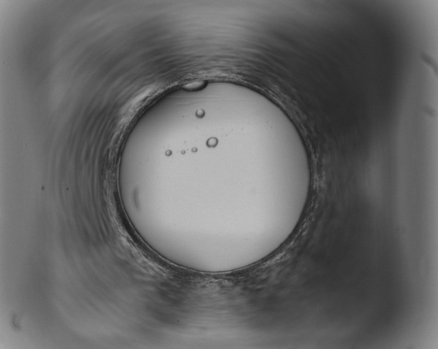 X0000103450193200809261825