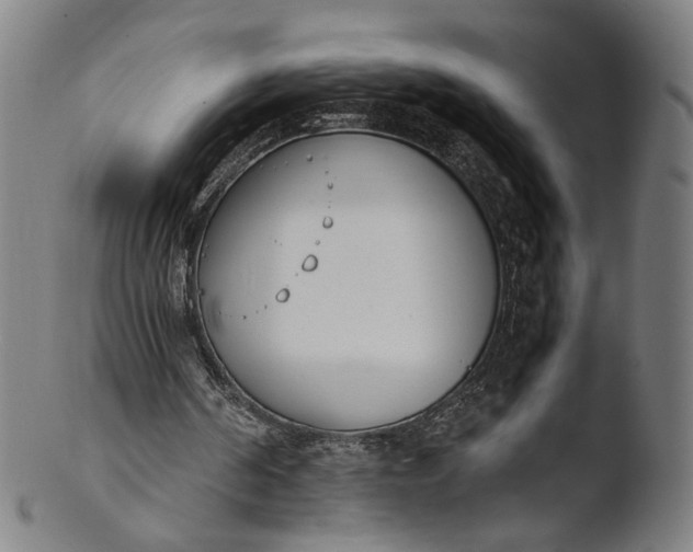 X0000103450194200809261825