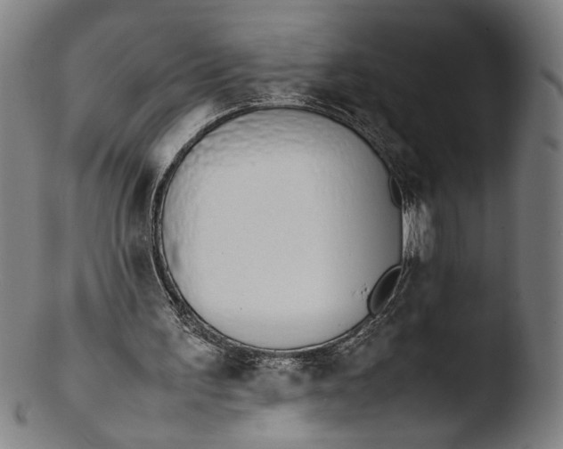 X0000103450195200809261825