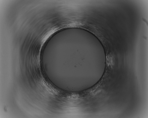 X0000103450196200809261825