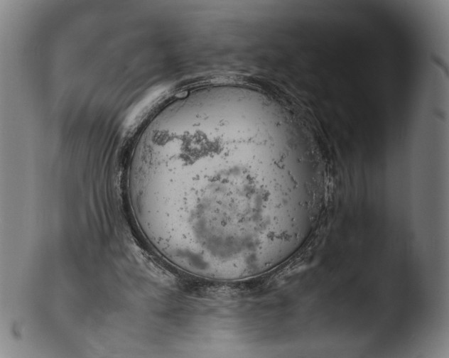 X0000103450197200809261825