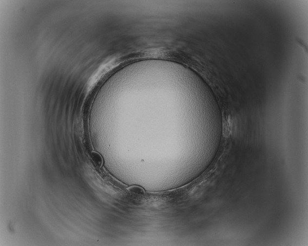 X0000103450198200809261825