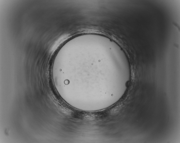 X0000103450199200809261825