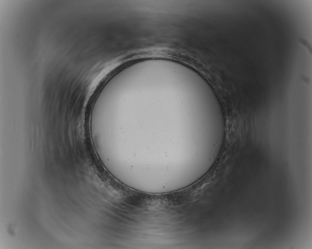 X0000103450200200809261825